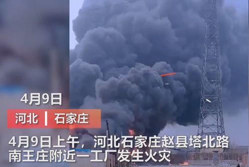 东营媒体爆料事件视频播放,视频揭露惊人真相