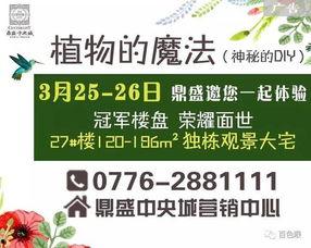 百色今日爆料信息查询网,最新热点事件盘点，揭秘幕后真相！”