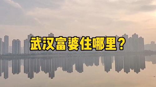 武汉房产最新爆料,揭秘最新房产爆料背后的市场趋势  第2张