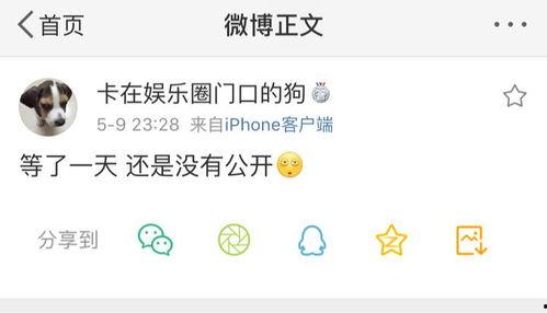 吃瓜爆料最新PPT,揭秘娱乐圈最新热点事件 第2张 吃瓜爆料最新PPT,揭秘娱乐圈最新热点事件 第2张