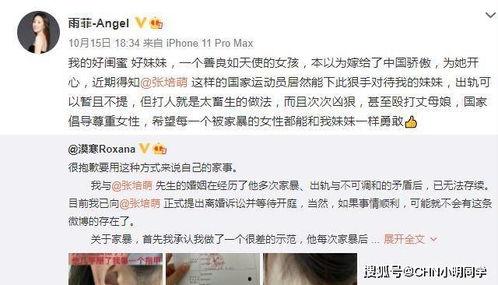往期视频爆料怎么找,探寻幕后故事与精彩瞬间