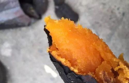 重庆烤红薯爆料案件视频,一场引发社会关注的食品安全风波 第3张 重庆烤红薯爆料案件视频,一场引发社会关注的食品安全风波 第3张