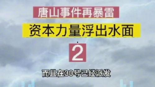 爆料唐山录音视频播放网站,还原事件真相，揭开黑暗面纱