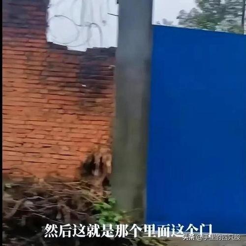 江西失踪最新爆料,神秘线索浮出水面，真相即将揭晓  第2张