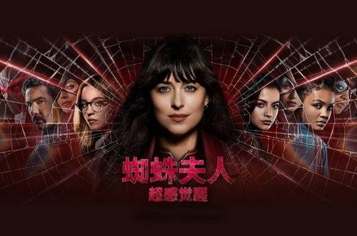 蜘蛛夫人最新爆料新闻,最新爆料震惊娱乐圈