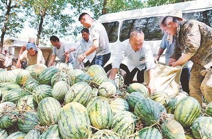 砀山县吃瓜最新事件爆料,揭秘背后惊人真相  第3张 砀山县吃瓜最新事件爆料,揭秘背后惊人真相  第3张