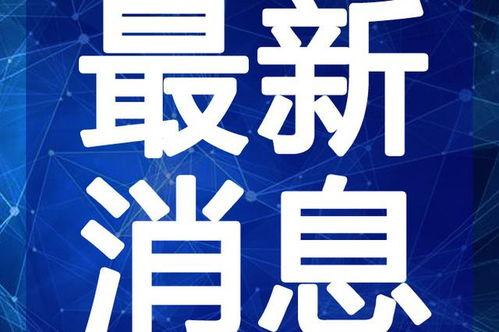 八哥最新爆料新闻视频,最新爆料新闻视频深度解析