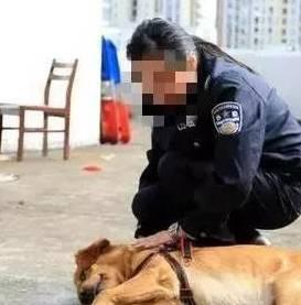 小宝爆料狗贩子视频播放,小宝爆料狗贩子视频曝光 第2张 小宝爆料狗贩子视频播放,小宝爆料狗贩子视频曝光 第2张