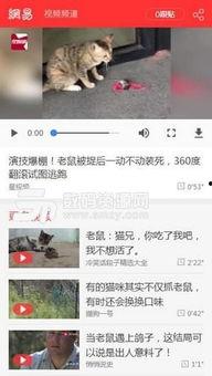 网易新手游爆料视频下载,神秘力作即将亮相,精彩内容抢先看 第2张 网易新手游爆料视频下载,神秘力作即将亮相,精彩内容抢先看 第2张