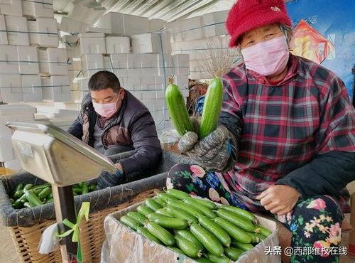 郯城网红吃瓜事件视频,一场网络狂欢背后的真相揭秘 第2张 郯城网红吃瓜事件视频,一场网络狂欢背后的真相揭秘 第2张