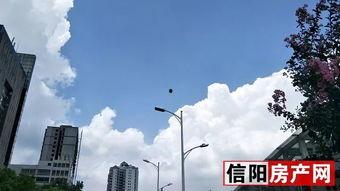 信阳最新爆料事件,揭秘事件背后惊人真相 第3张 信阳最新爆料事件,揭秘事件背后惊人真相 第3张