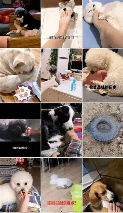 怎样在抖音联系新闻记者爆料,如何高效联系新闻记者  第2张