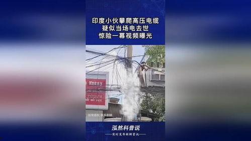 惊险爆料视频大全,惊爆视频大全幕后故事 第2张 惊险爆料视频大全,惊爆视频大全幕后故事 第2张