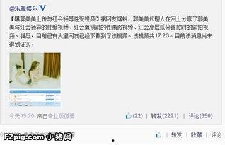 爆料视频如何上传网络上,如何利用爆料视频在网络上生成概述文章副标题