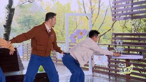 郑恺白鹿圈内人爆料,圈内人独家爆料,甜蜜恋情引关注