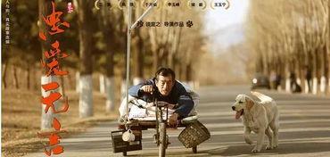 忠爱无言电影在线观看,感人至深的动物情感故事,在线观看感动人心  第2张 忠爱无言电影在线观看,感人至深的动物情感故事,在线观看感动人心  第2张