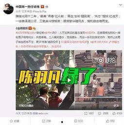 七台河出轨爆料新闻视频,视频揭露惊人真相,引发社会关注