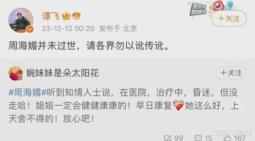 圈内人爆料周海媚视频,圈内人揭秘不为人知的幕后故事  第2张