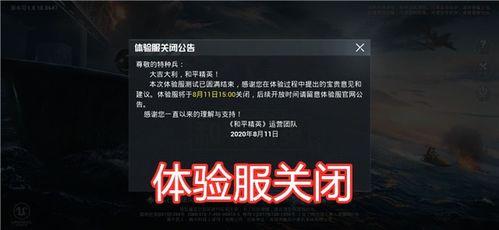 吃鸡新动作爆料视频大全,精彩视频大盘点，解锁全新战斗技巧！  第3张