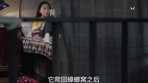 大斌姐姐爆料视频在线看,揭秘幕后真相,带你走进事件核心