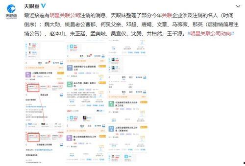 娱乐界偷税爆料,揭秘明星避税黑幕  第3张 娱乐界偷税爆料,揭秘明星避税黑幕  第3张