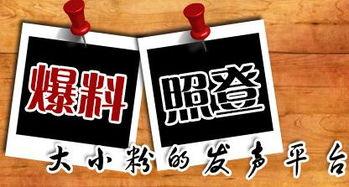 湛江新闻爆料平台,聚焦民生热点,揭示社会真相