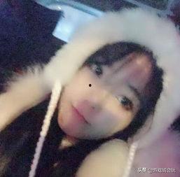 鸽子姐姐爆料视频大全,视频大全精彩瞬间大揭秘  第3张