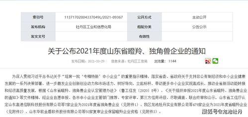 山东企业爆料最新消息,揭秘行业变革背后的秘密