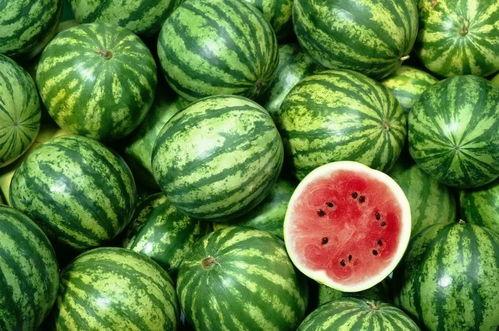 吃瓜免费吃瓜  第3张