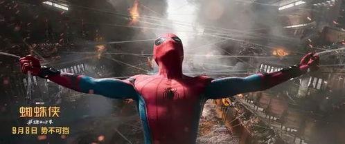 蜘蛛侠归来在线观看,重燃英雄之魂 第1张 蜘蛛侠归来在线观看,重燃英雄之魂 第1张