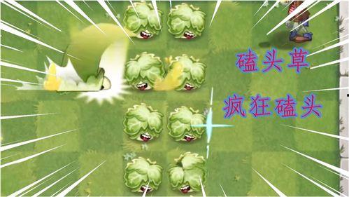 pvz新出的三个植物爆料视频,三大神秘植物震撼登场！  第1张