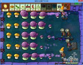 pvz新出的三个植物爆料视频,三大神秘植物震撼登场！  第3张