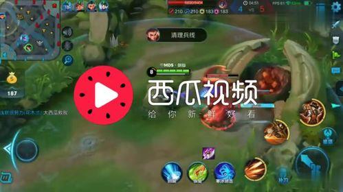 娱乐吃瓜视频背景图片大全,揭秘热门视频背景图片大盘点 第3张 娱乐吃瓜视频背景图片大全,揭秘热门视频背景图片大盘点 第3张