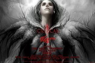 爵迹完整版在线观看,巅峰对决,命运之巅的荣耀征程 第1张 爵迹完整版在线观看,巅峰对决,命运之巅的荣耀征程 第1张