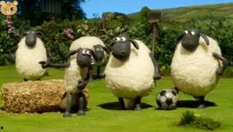 小羊返场爆料视频大全  第1张