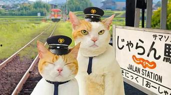 喵喵吃瓜娱乐,揭秘娱乐圈那些不为人知的幕后故事 第3张 喵喵吃瓜娱乐,揭秘娱乐圈那些不为人知的幕后故事 第3张