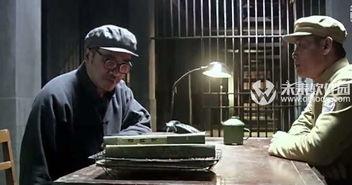 风筝29集在线观看,揭秘神秘组织，悬念迭起  第2张