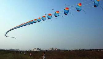 风筝29集在线观看,揭秘神秘组织，悬念迭起  第3张