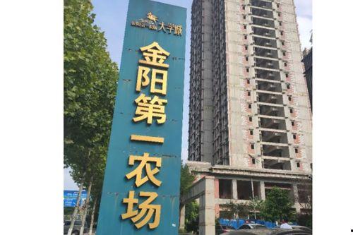 重庆烂尾楼爆料最新消息,揭秘多项目停工真相与影响