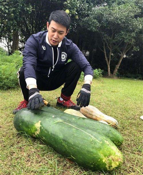 大瓜怎么爆料才好吃视频,如何让“好吃”成为你的标签  第2张