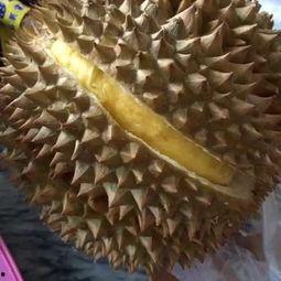 大瓜怎么爆料才好吃视频,如何让“好吃”成为你的标签  第3张