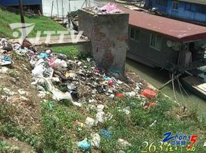 网友爆料猪场视频,揭开养殖业的黑暗面