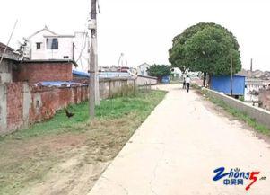 网友爆料猪场视频,揭开养殖业的黑暗面 第2张 网友爆料猪场视频,揭开养殖业的黑暗面 第2张