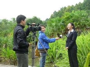 新闻赶摆场爆料电话,揭秘市场动态，助力消费者权益